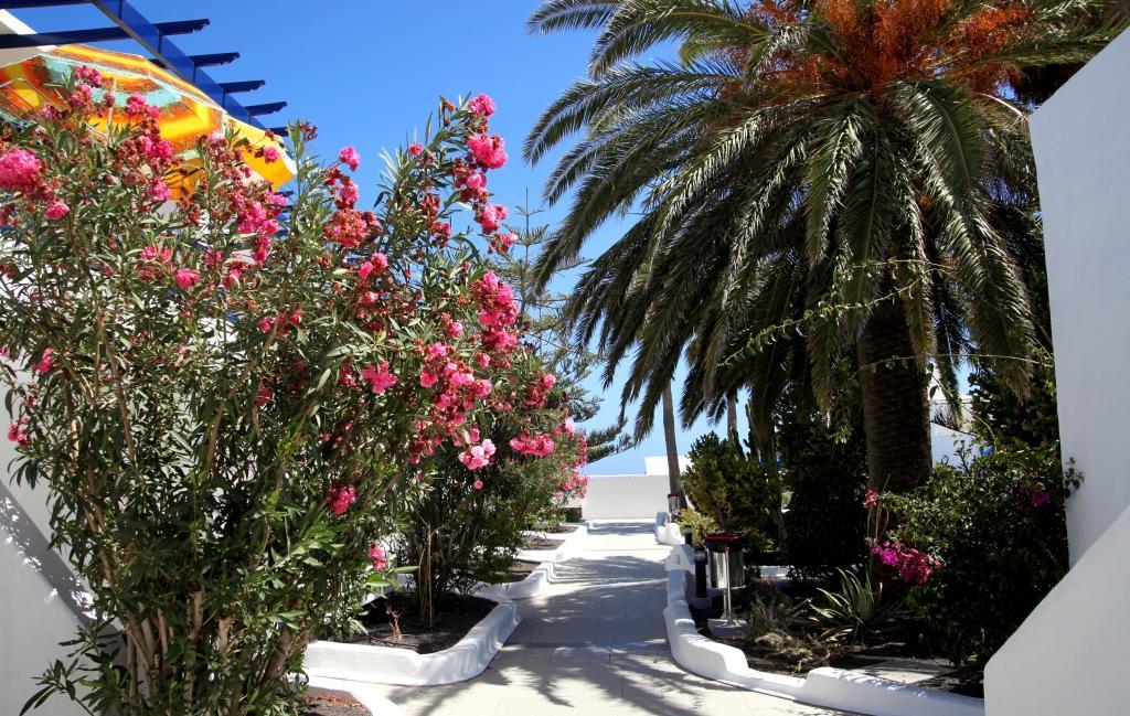 Apartamentos Playamar Puerto del Carmen  Buitenkant foto
